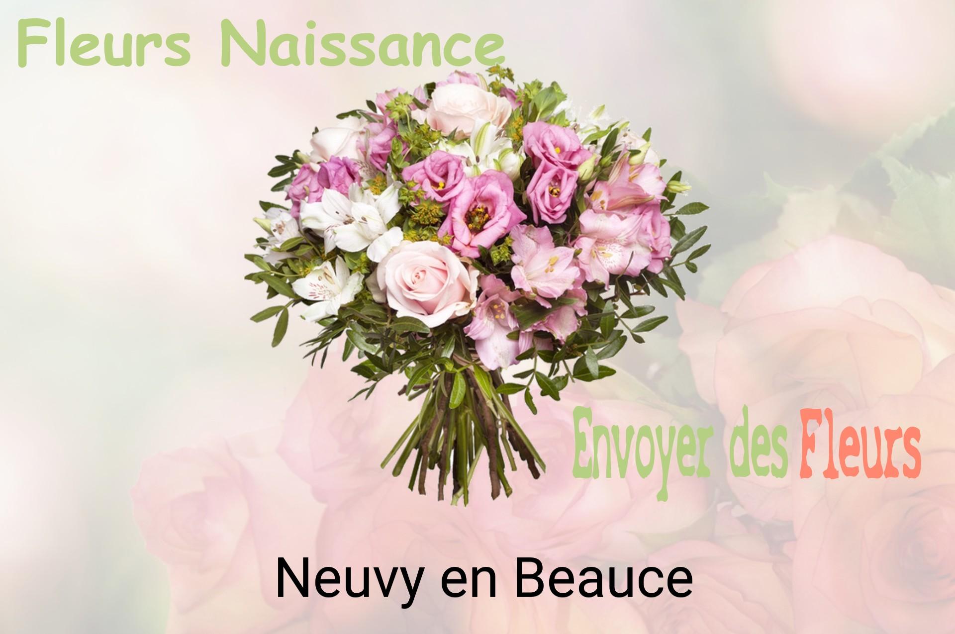 Bouquet de fleurs de naissance livré à Neuvy-en-Beauce