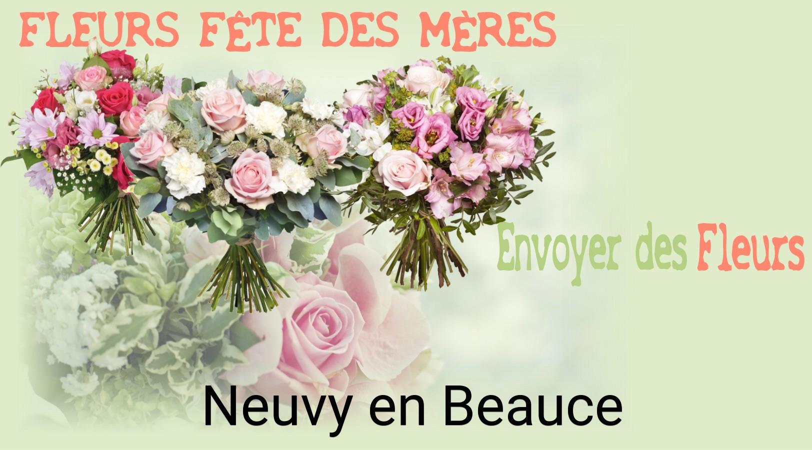 Bouquet de Fête des Mères livré à Neuvy-en-Beauce
